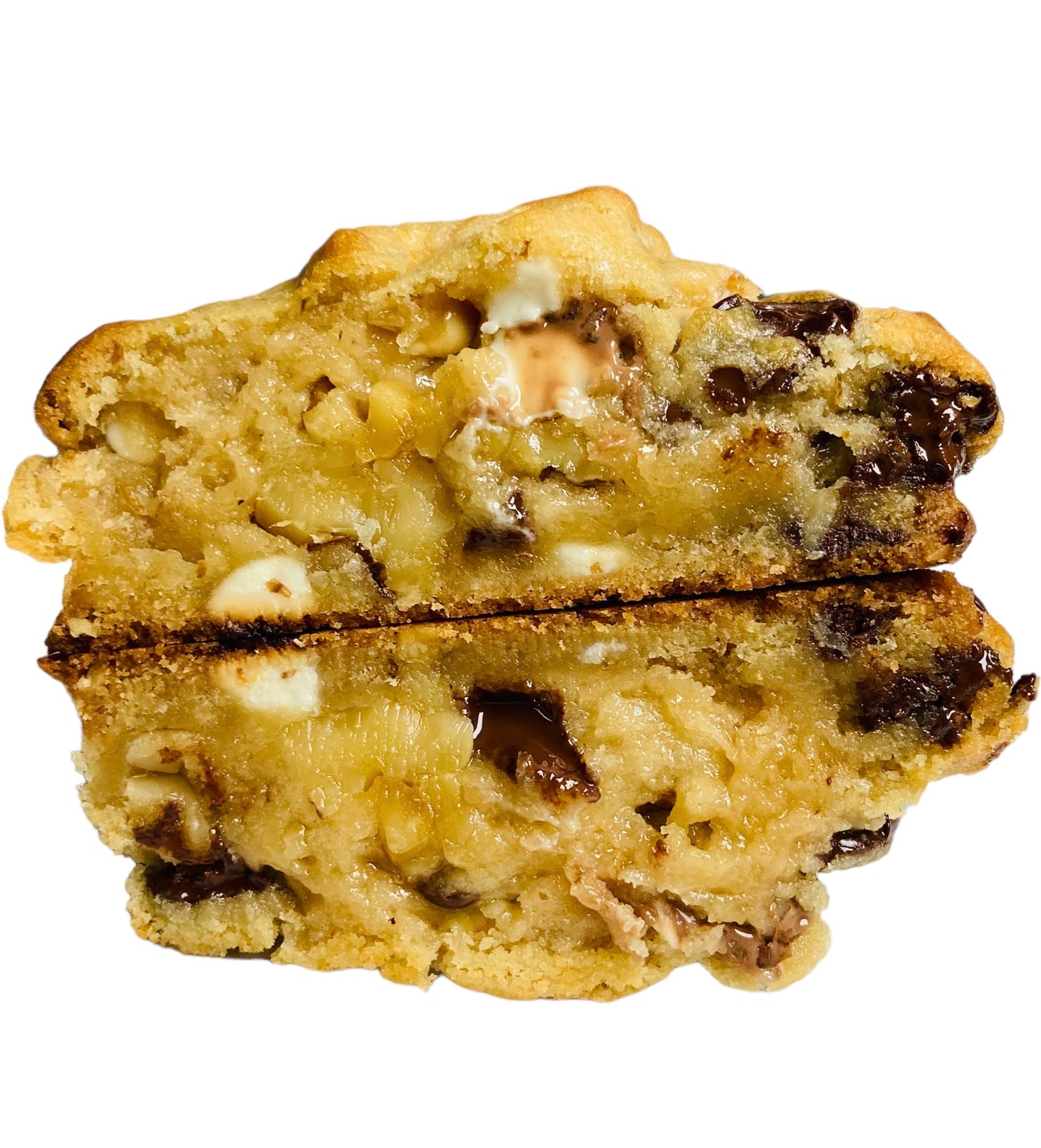 Walnut Chocolate Chip