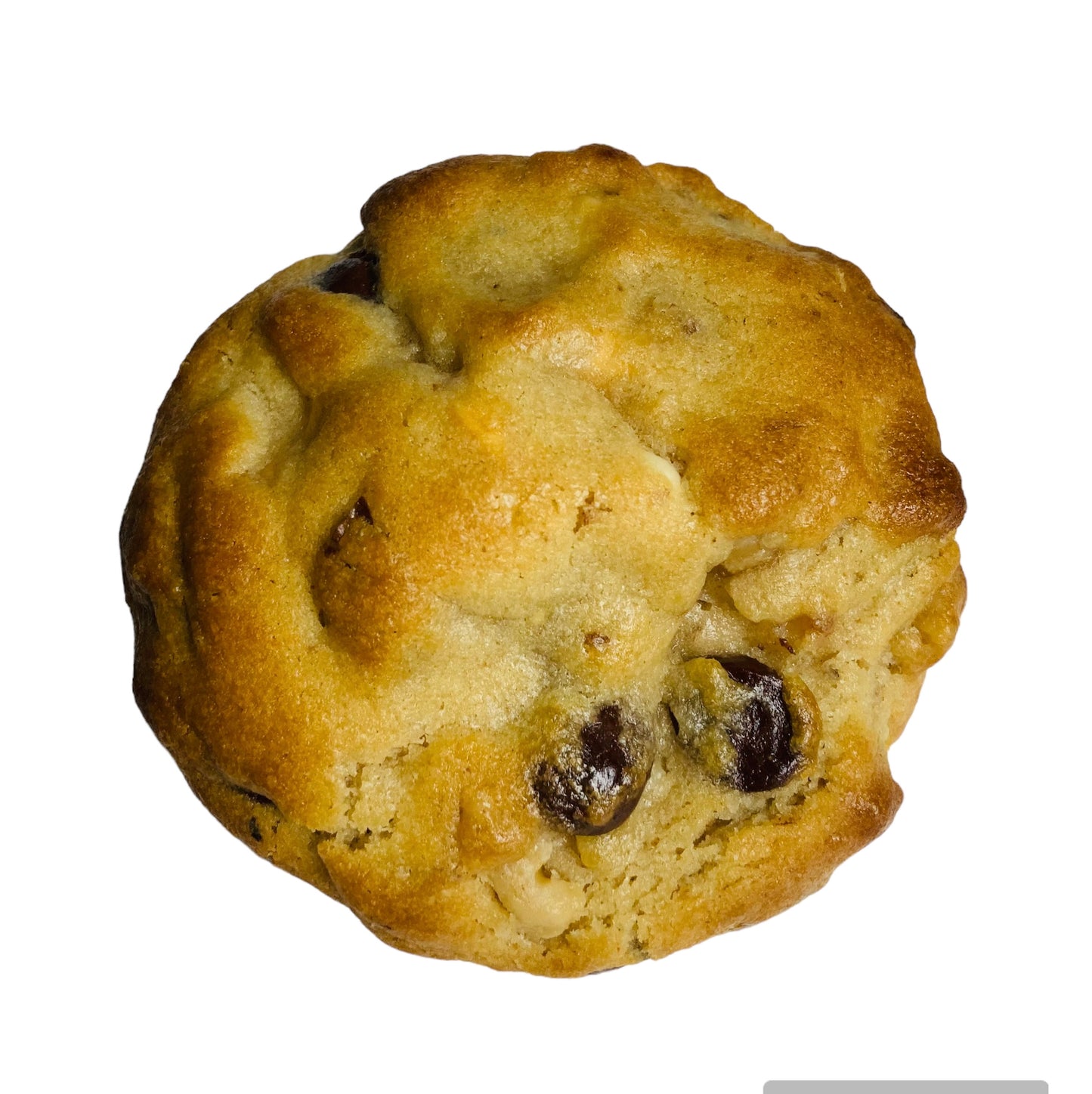 Walnut Chocolate Chip